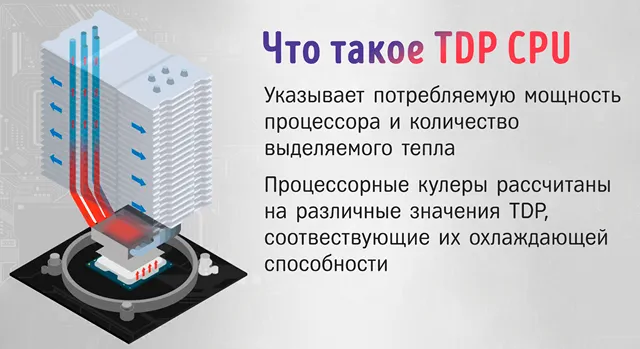 Раздел 3: Особенности интерпретации TDP