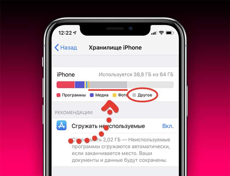 Где хранятся документы и изображения WhatsApp на iPhone и Android: найти место сохранения