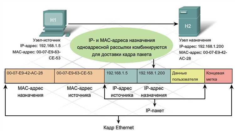 IP адрес: форматы и классы адресов, цель использования