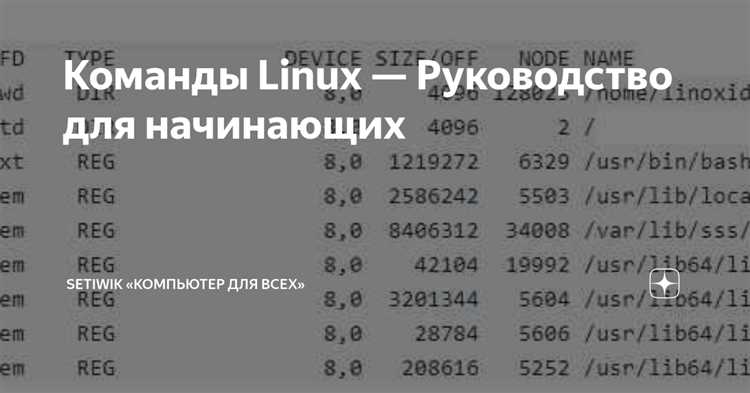 Как использовать команду usermod в Linux: руководство для начинающих