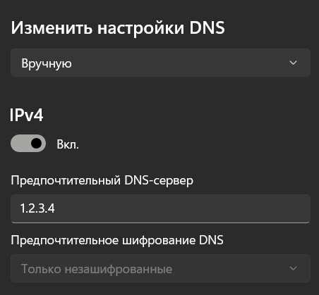 Установка DNS-клиента на компьютер