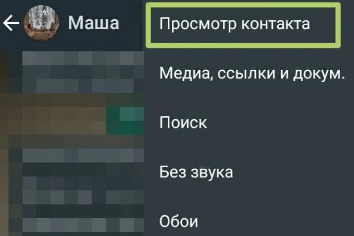 Как отправить исчезающие сообщения в WhatsApp: подробная инструкция