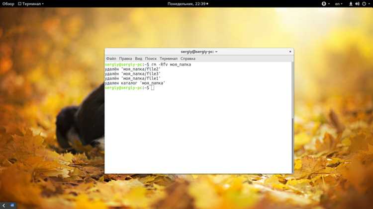 Как удалить файлы и каталоги в терминале Linux: подробная инструкция