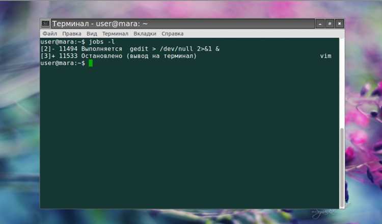 Как завершить процессы с помощью консоли Linux: подробное руководство