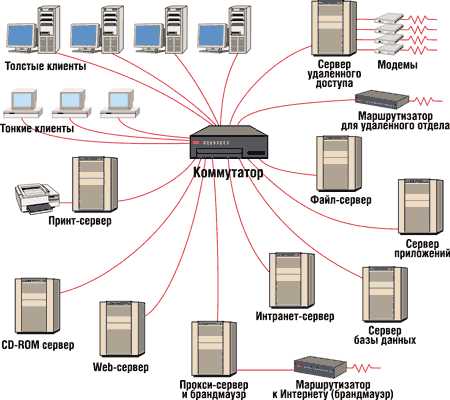 Роль сервера в компьютерных сетях: функции и значение
