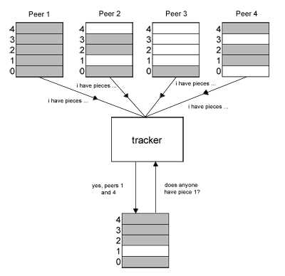 Описание сети Peer-to-Peer